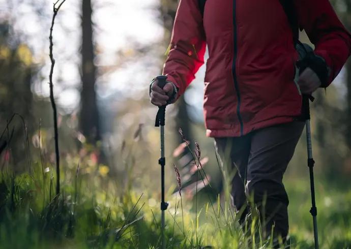 person bei nordic walking